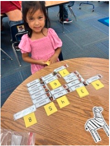 Literacy Skills